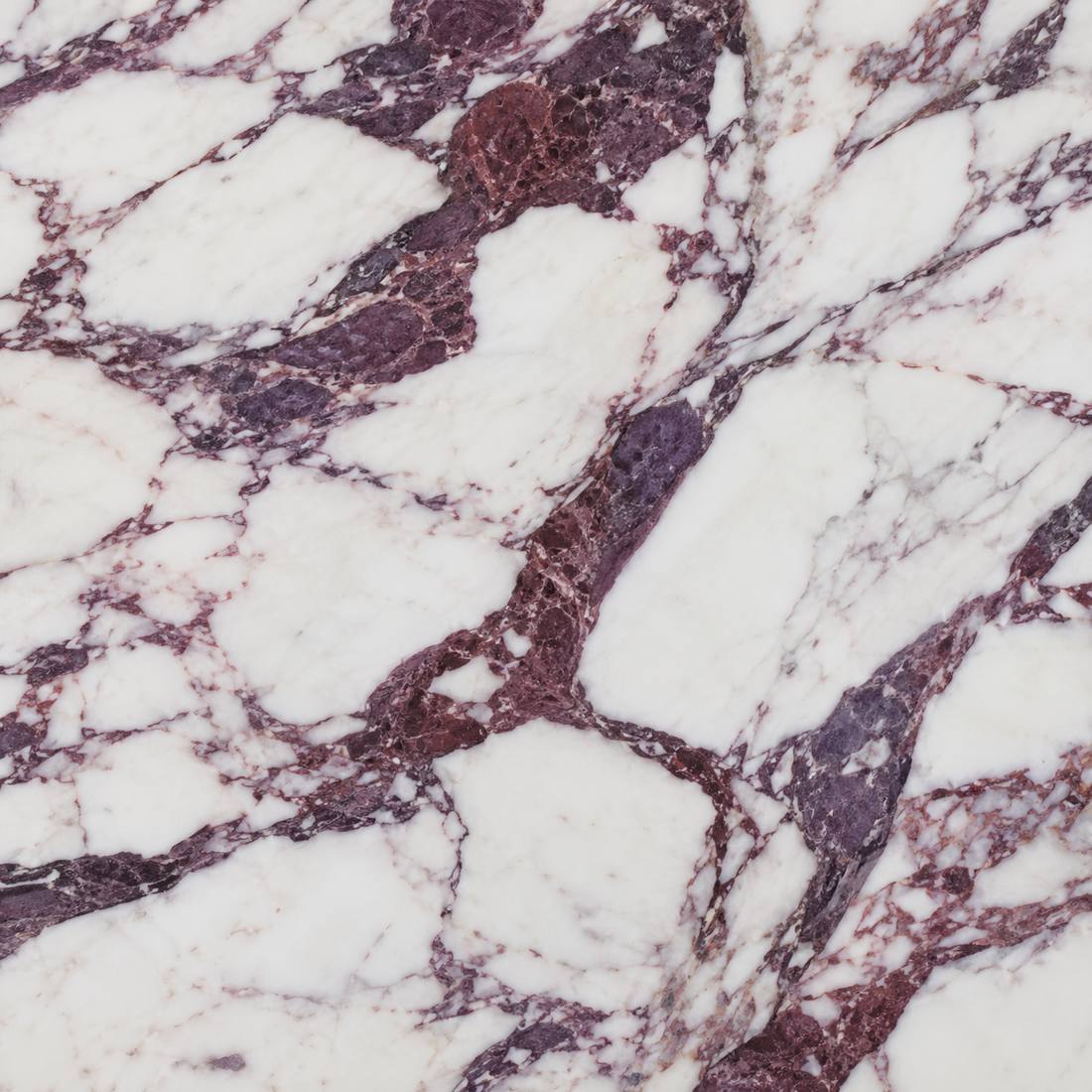 Calacatta Viola, illustrative sample